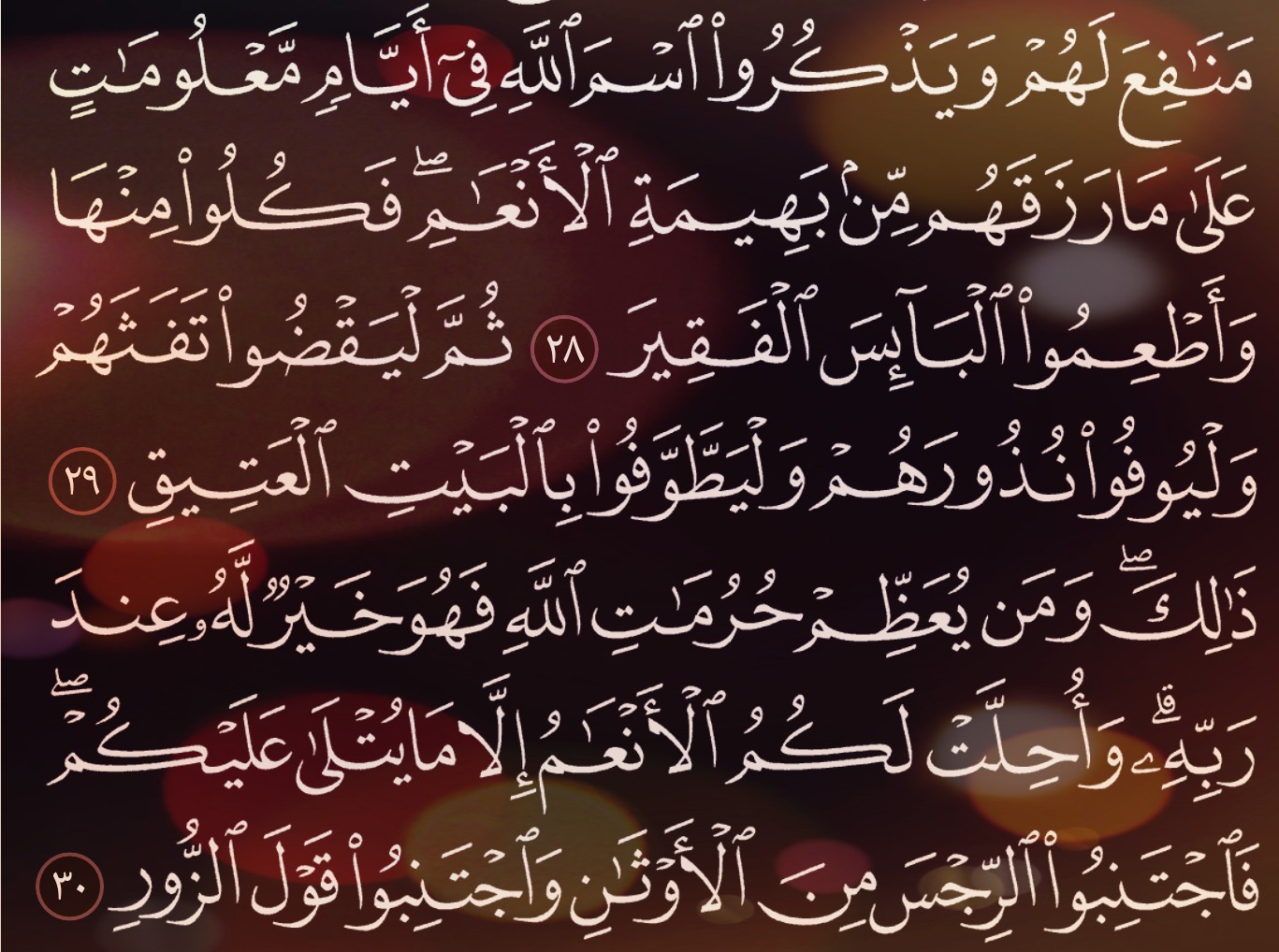 شرح وتفسير سورة الحج Surah Al Hajj ( من الآية 24 إلى الاية 34 )