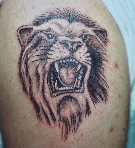 Lion Tattoos designs picture 2012 new