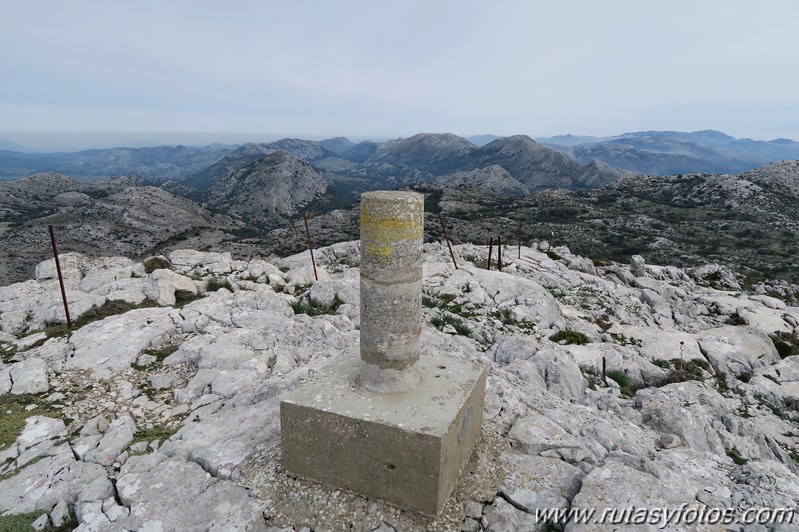 Sierra de los Pinos por las Pulgas