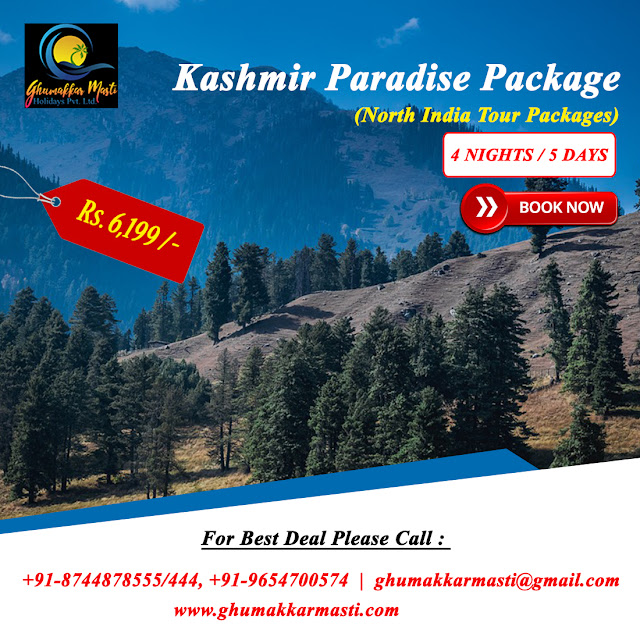 Kashmir Paradise Package