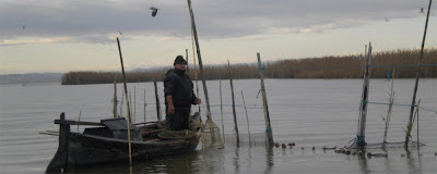 Pescador de anguilas
