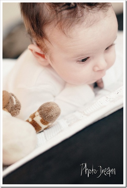 DVM_4688 copy[1]