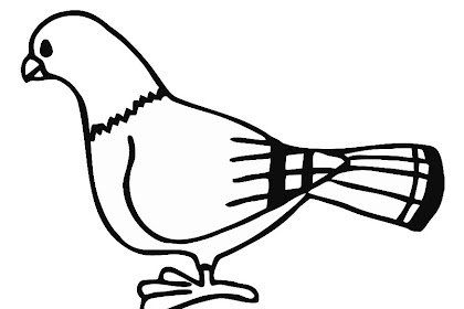 pigeon friendship coloring page Pigeon coloring page at getcolorings.com