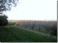 Icknield Way