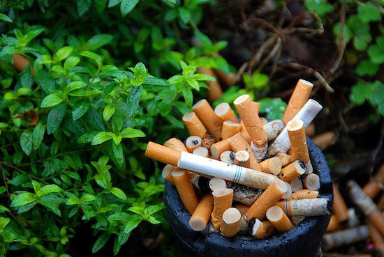 Harmful Effect of Cigarette To Environment