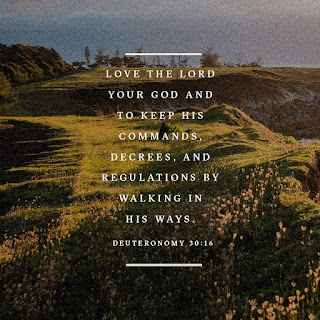 Deuteronomy 30:16 Bible Verse Image