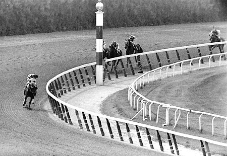 secretariat  review ebert