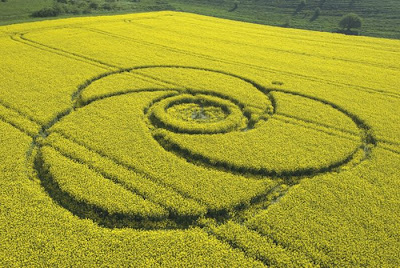 100 foto crop circle - www.pictsel.co.cc