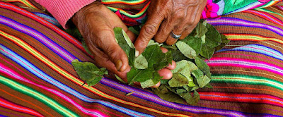 Adivinación con Hojas de Coca