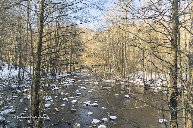 Rio Aker, Akerselva - Oslo por El Guisante Verde Project