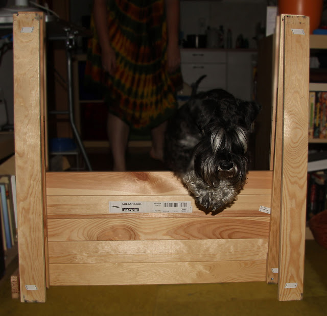 Dog obstacle from Sultan Lade