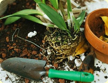 garden trowel