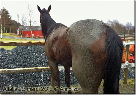 2012-28mars-alf