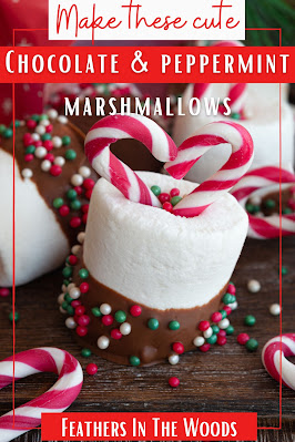 chocolate dipped marshmallows with peppermint sticks