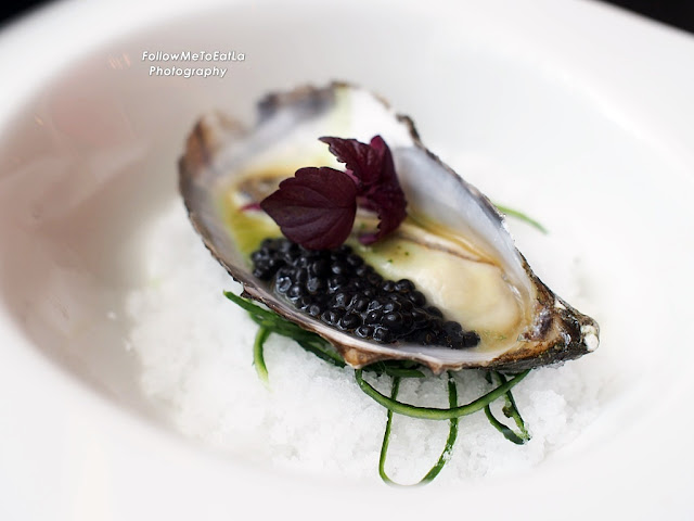 Ostrica Oyster With Sherry Vinegar Jelly, Wasabi Chips & Avruga Caviar