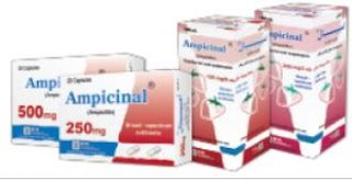 Ampicinal دواء أمبيسينال,Ampicinal® 500 Caps    Ampicinal® 250 Caps    Ampicinal® 250 Susp    Ampicinal® 125 Susp,Ampicillin trihydrate الأسم العلمي ,دواء أمبيسيلين,إستخدامات Ampicinal دواء أمبيسينال,جرعات Ampicinal دواء أمبيسينال,الأعراض الجانبية Ampicinal دواء أمبيسينال,التفاعلات الدوائية Ampicinal دواء أمبيسينال, يستخدم أمبيسلين لعلاج مجموعة واسعة من الالتهابات البكتيرية . وهو مضاد حيوي من نوع البنسلين . وهو يعمل عن طريق وقف نمو البكتيريا,فارما كيوت,دليل الأدوية المصري
