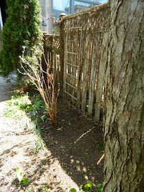 Toronto Gardening Company Riverdale Backyard Spring Garden Cleanup After by Paul Jung Gardening Services