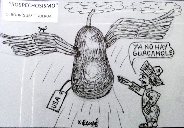 Opinión Política en Caricaturas