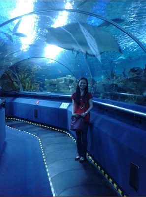 wisata aquarium klcc kuala lumpur malaysia