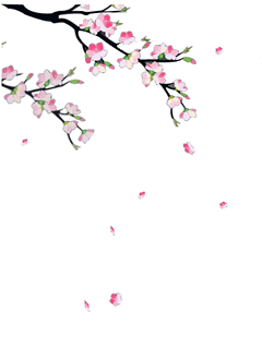 Dian Yang Tak Kunjung Padam Aneka Animasi  Bunga  Sakura  