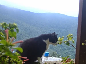 Fotografía
