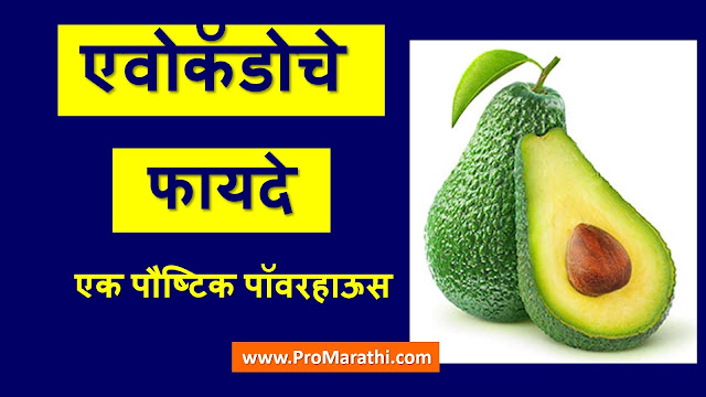 Avocado Fruit Benefits in Marathi