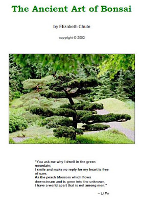 bonsai making tips, how to make an bonsai step by step