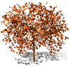 caritos otoño (5)
