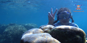 snorkeling spot pulau pari