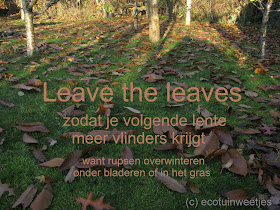 Bladeren laten liggen in de tuin, leave the leaves, vlinders helpen