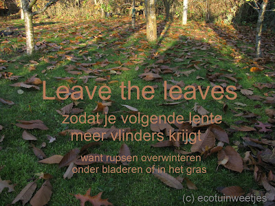 Bladeren laten liggen in de tuin, leave the leaves, vlinders helpen