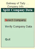 How to Split Tally Data for New Financial Year in Hindi