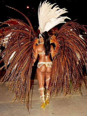 Rio de Janeiro Carnival 2010 in Brazil Seen On www.coolpicturegallery.net