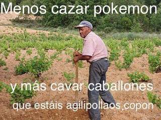 cavando caballones, menos cazar pokémon