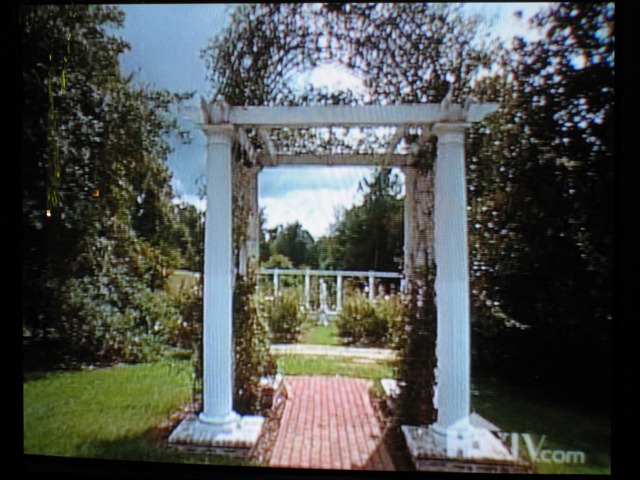 garden arbor