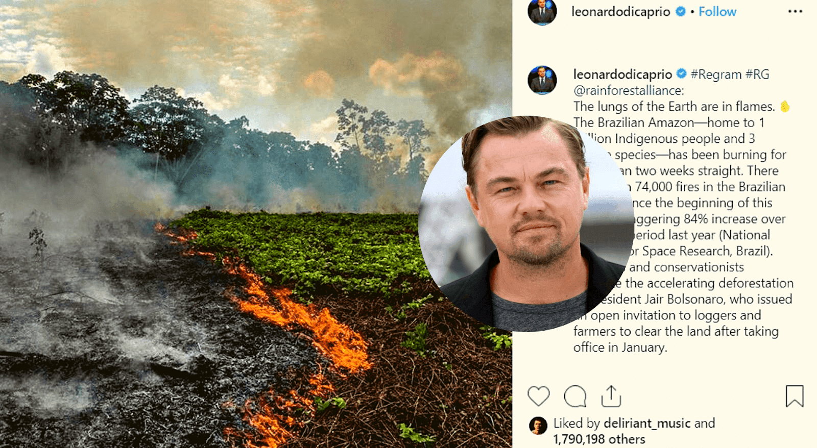 Leonardo DiCaprio Shared A Powerful Post To Raise Awareness And Help Save The Amazon Rainforest