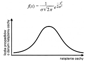 Krzywa Gaussa