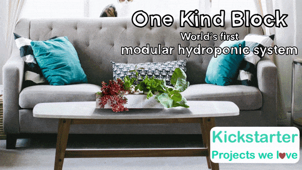 One Kind Block, modular hydroponics for apartments.