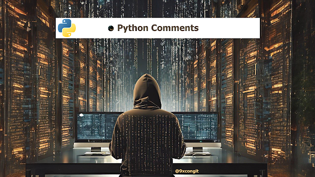 python-comments