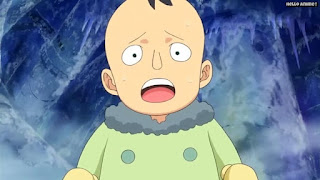 ワンピースアニメ パンクハザード編 591話 ビヨ | ONE PIECE Episode 591