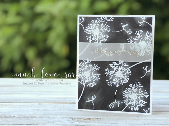 Simple White Dandelions scatter on a black background.  This card is great for any occasion.   Created with Dandelion Wishes Stamp Set.  