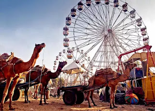 राजस्थान के प्रमुख मेले व उर्स (Major Fairs and Urs of Rajasthan)