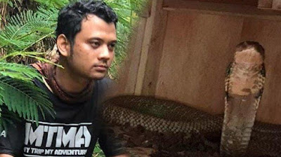 Kru Panji Petualang Hilang, Saat Monitoring Garaga di Hutan,Ternyata Digigit Ular Kobra