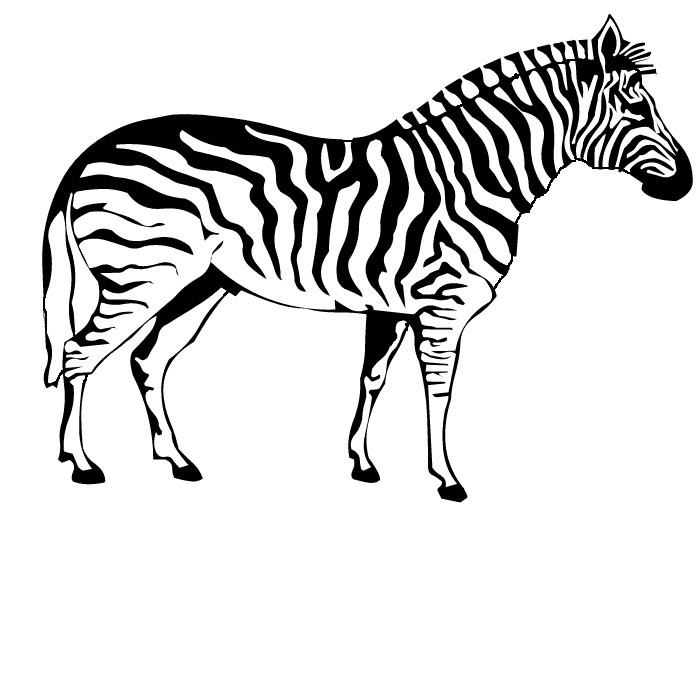  Info page for Zebra can be found here under Zoo animal fact page 