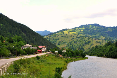 Cotargasi, Brosteni - Suceava, Bistrita, Ion Creanga, Kaczyka. Landscapes, Moldova, Romania, 