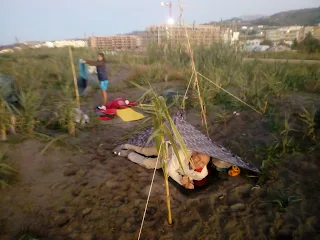 sleeping places near the beach in the sand, surrounded by some cane