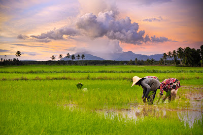 Negara Agraris