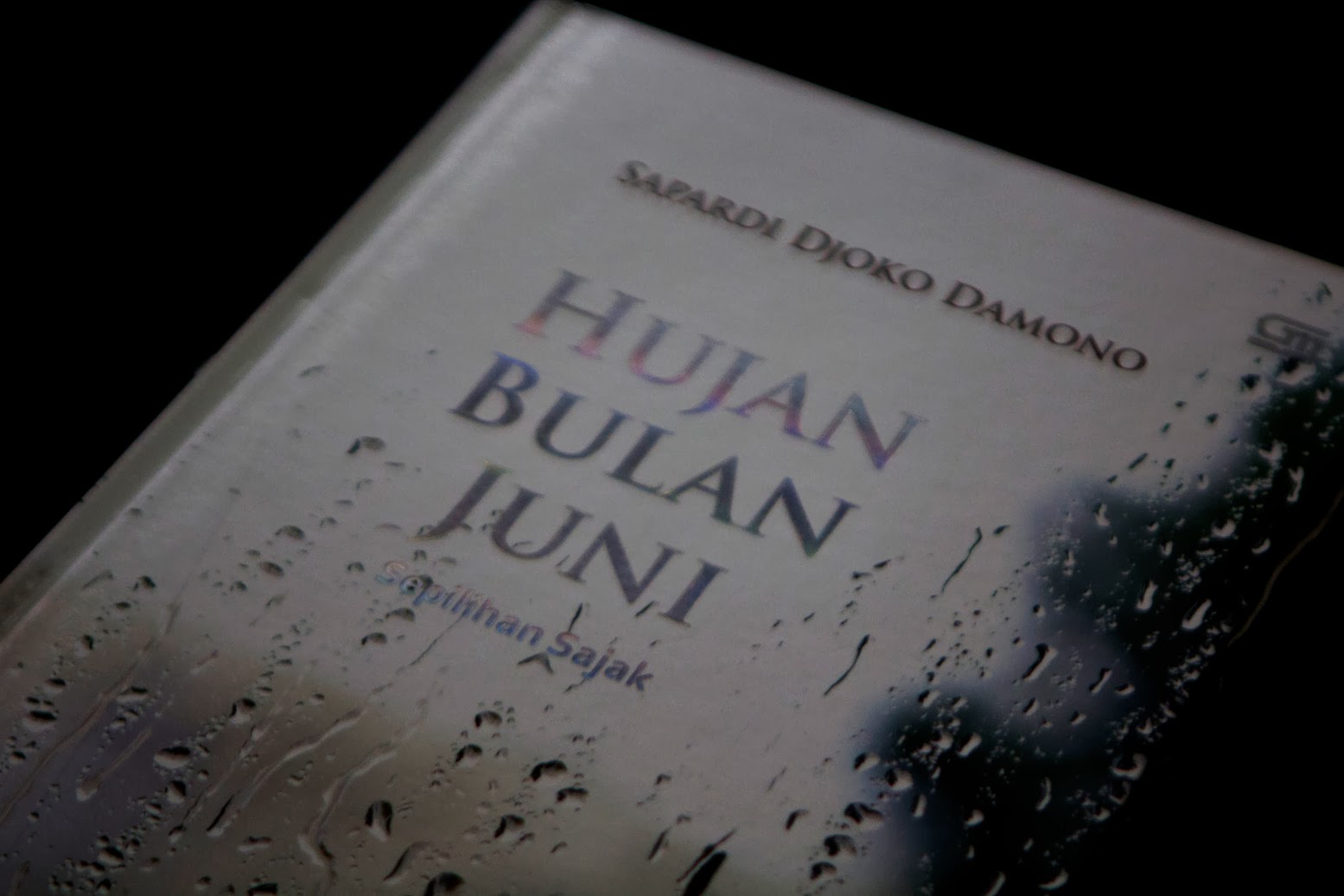Hujan Bulan Juni Quotes by Sapardi Djoko Damono ~ Story of TheNaskun