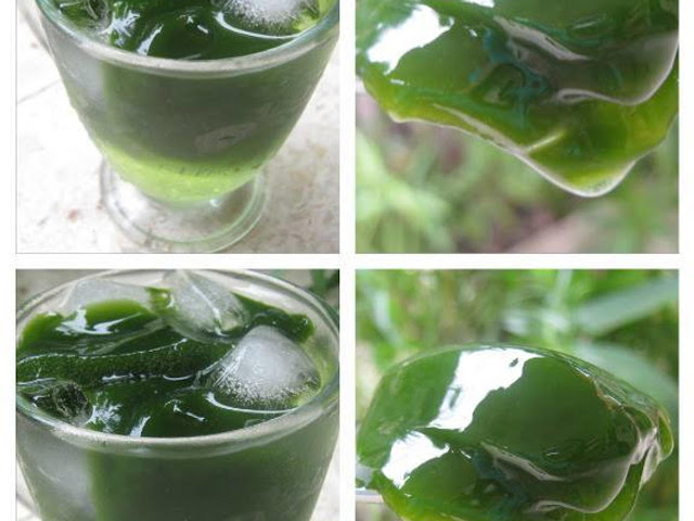 How to make fresh green grass drink