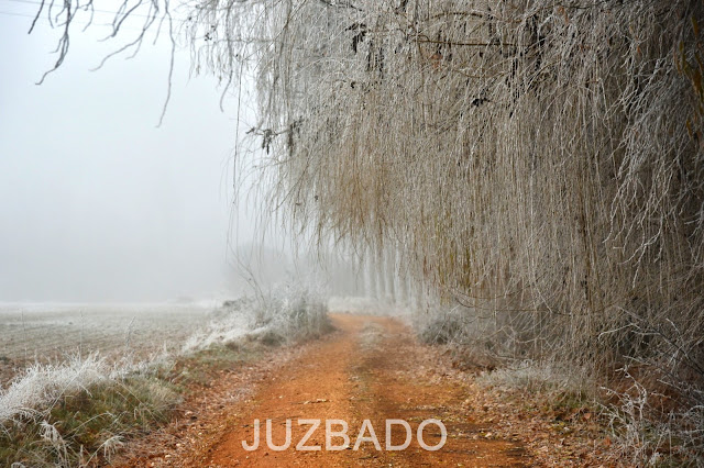 Juzbado libro abierto frío paisaje invierno